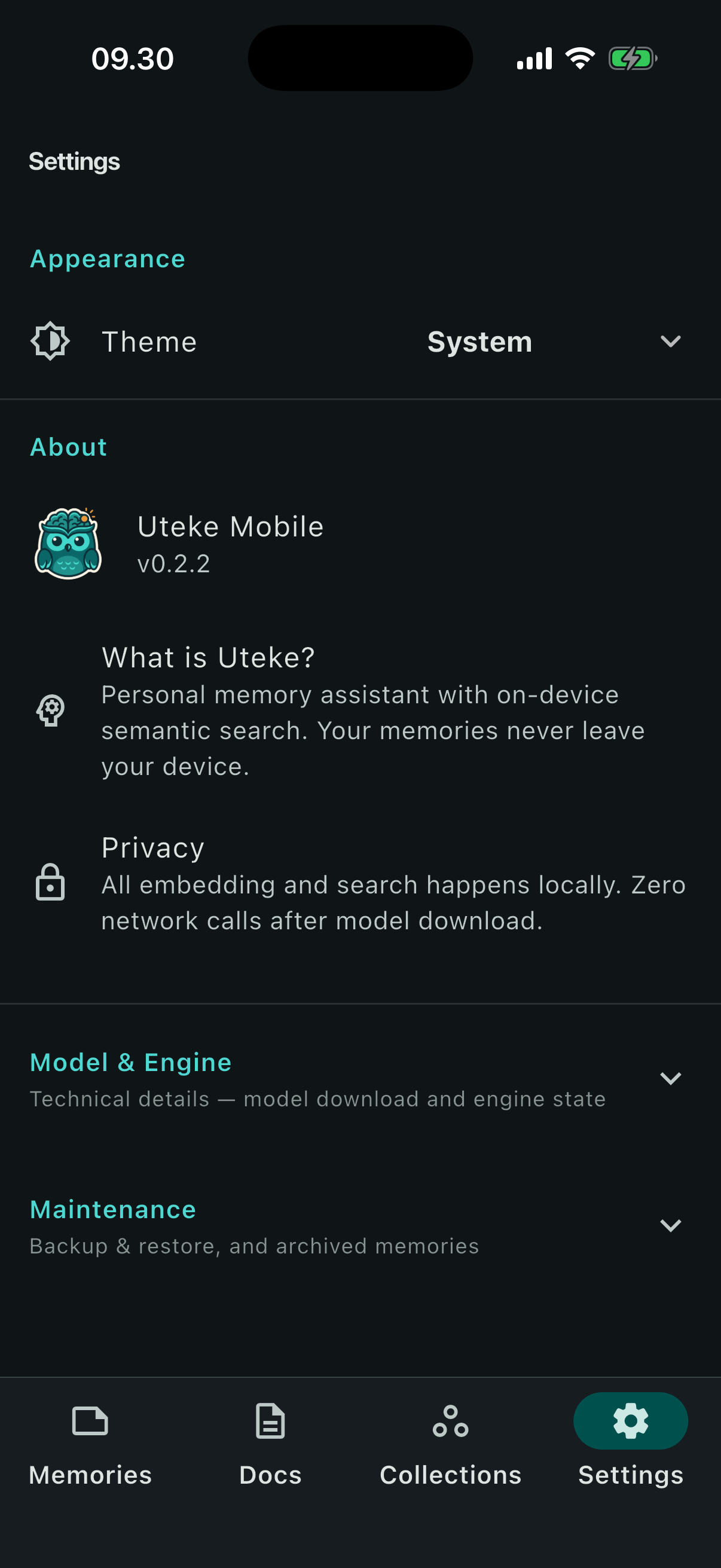 Settings screen showing that all embedding and search happens locally